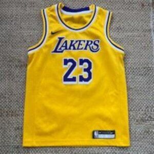 Youth Size M Nike NBA Lakers Lebron James #23 Icon Edition Swingman Jersey